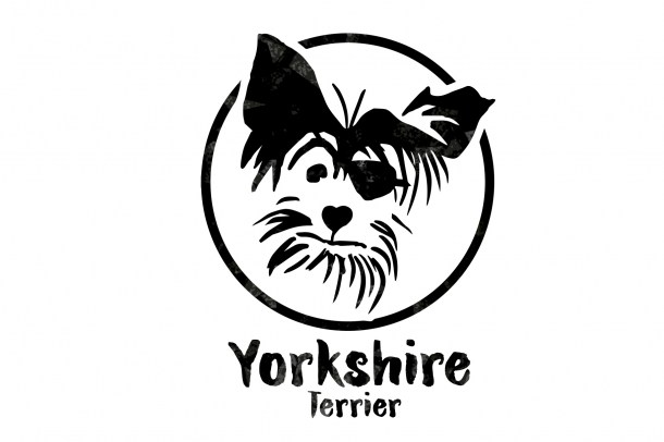 3 Pirate Yorkshire Terrier (1820x1214)
